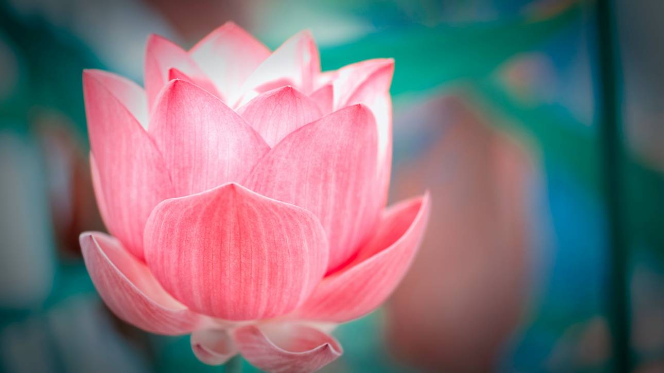 curso de Reiki nivel 1